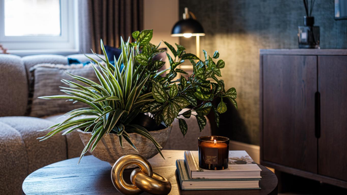 Meadow View - The Arlington 